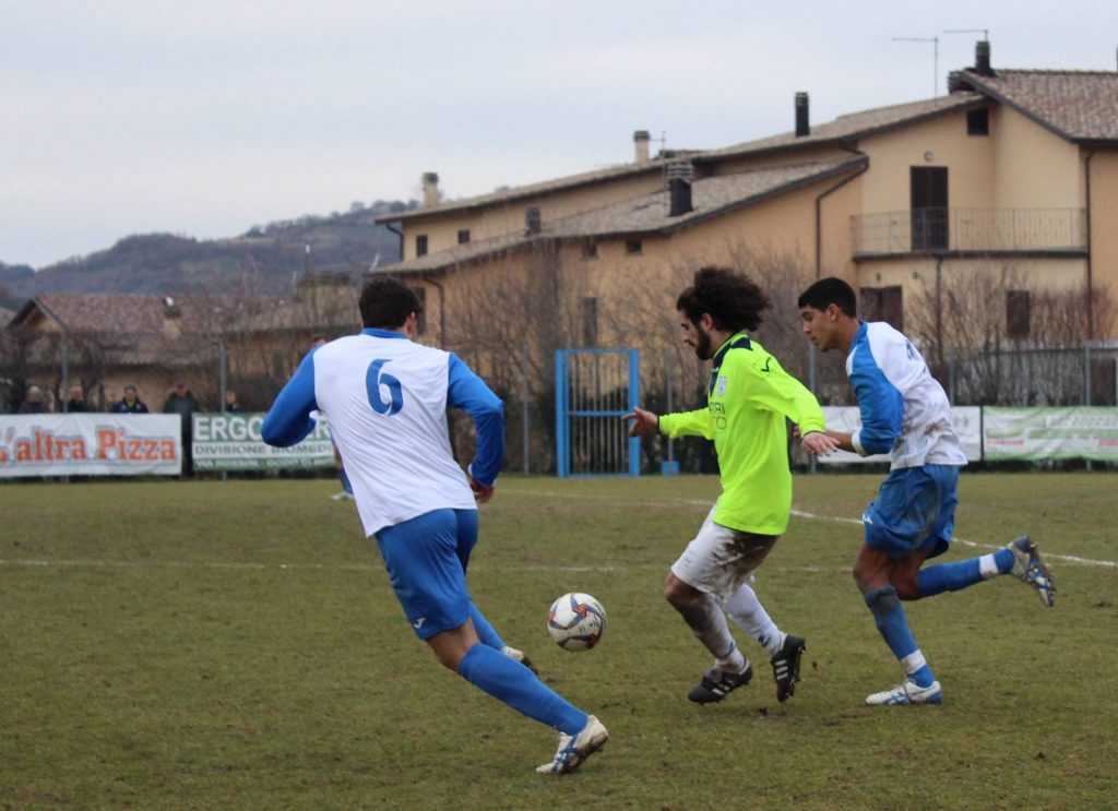 Cerqueto Betti