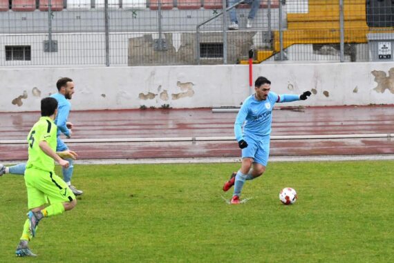 Cerqueto Menchinella