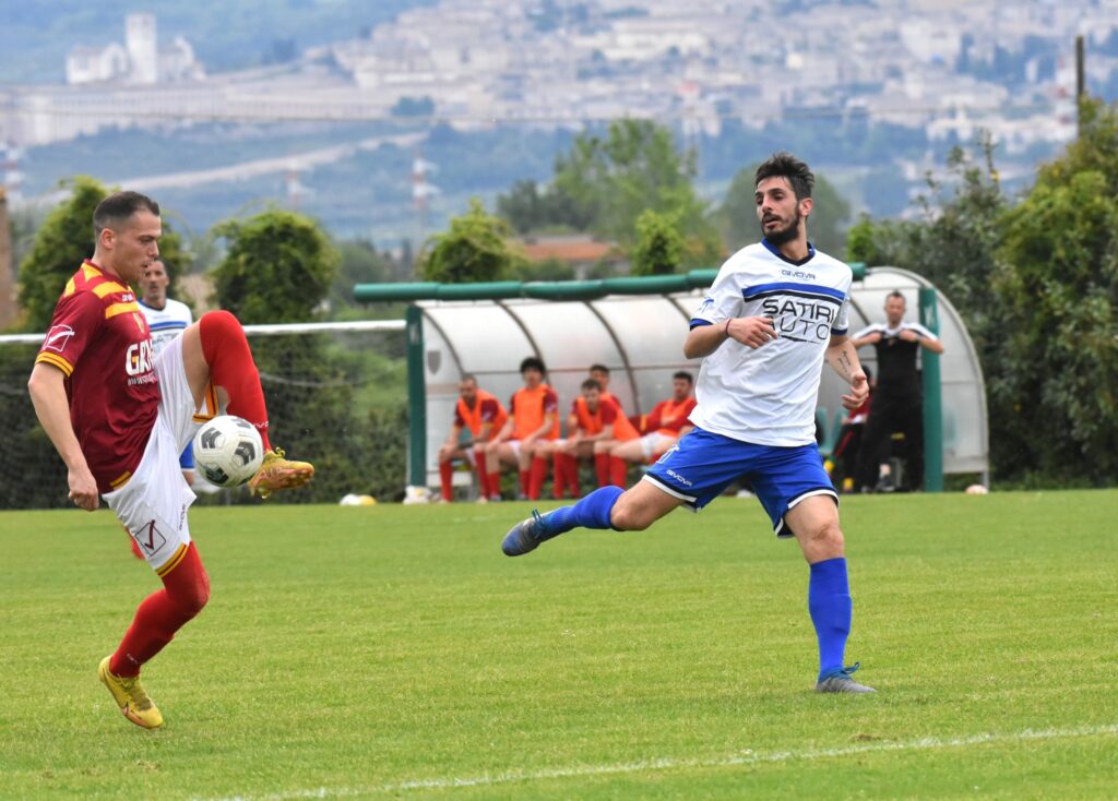 Mattia Petrini Cerqueto
